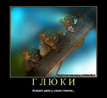 Убери глюк
