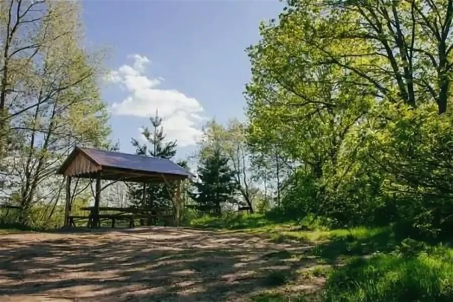 Река сура в сабаево. Озеро инерка мордовия. Песчаный берег сабаево. Песчаный берег сабаево. Турбаза мордовия сабаево.