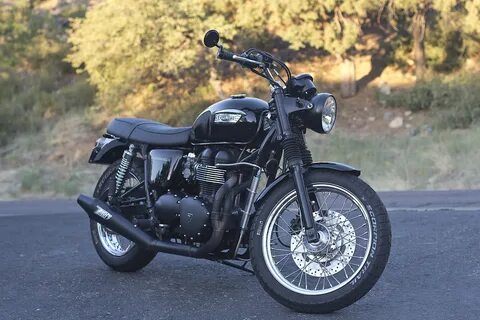 Triumph black