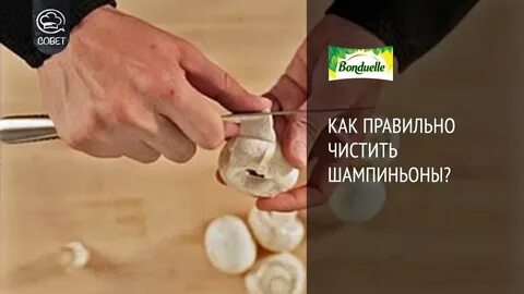 Надо ли чистить шляпку шампиньона