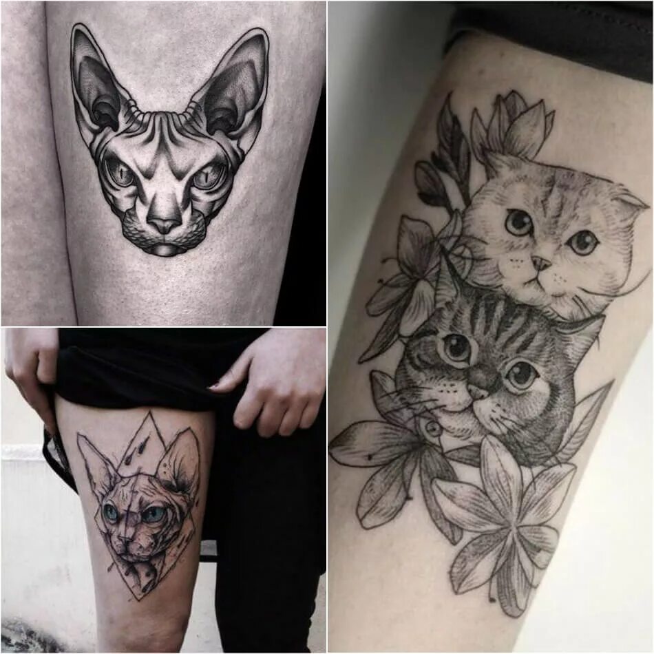 Татуировка кот значение. Тату кот. тату вислоухого кота. тату с котами женские. тату кот миниатюра.
