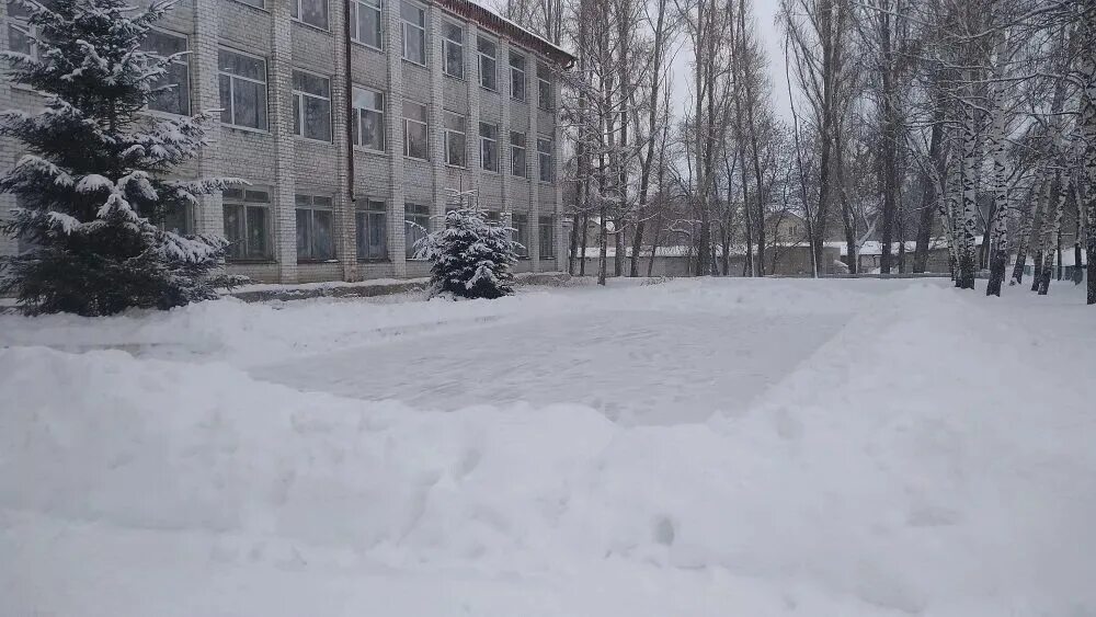 Снежный школьный двор. Снегопад школа. Школьный снег. Территория образовательных организаций Северск зима.