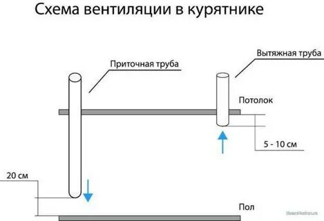 Вытяжка в курятнике