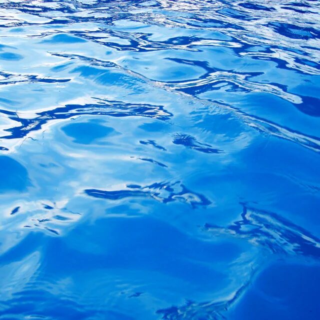Arena water instinct gif. Плавание логотип. Арена swim. Arena water. Пловцы в arena.