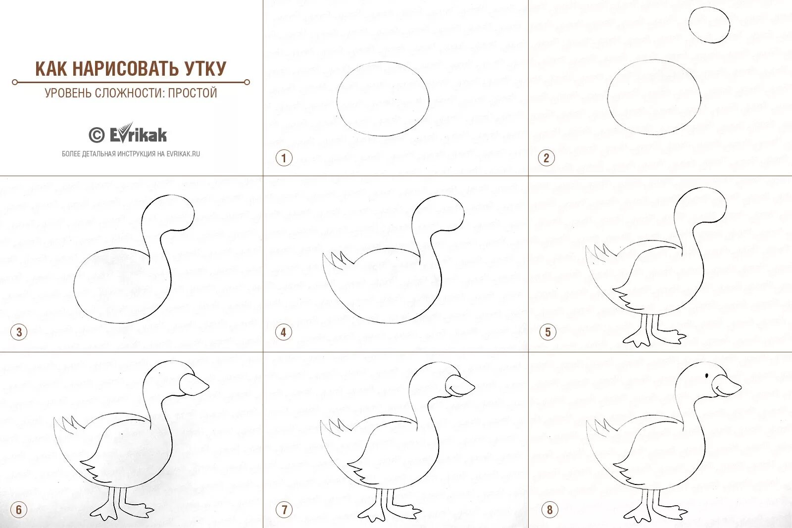 Утки для начинающих. Нарисовать утку. Как нарисовать утку поэтапно. Поэтапное рисование уточки для детей. Поэтапное рисование утки для детей.