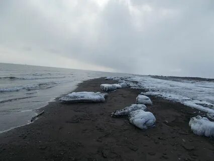 Погода в аниве на неделю