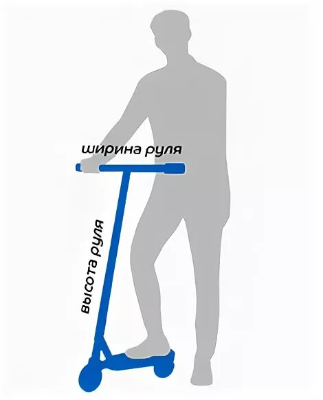 Высота трюкового самоката на рост 160см. Высота руля трюкового самоката для 190 см. Высота руля трюкового самоката. Трюковой самокат высота руля.
