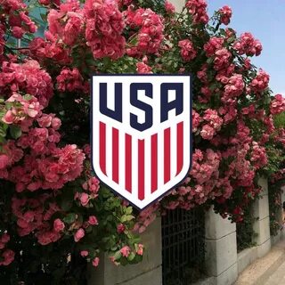 Flowers us