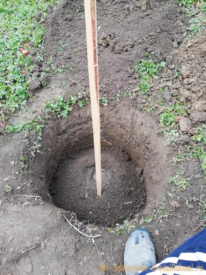 Посадка персика. Почва для абрикоса. Саженцы абрикоса. Посадка абрикосового дерева. Полив абрикоса.