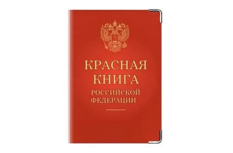 Трафарет красная книга