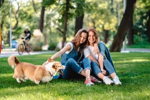 2 подруги собаки