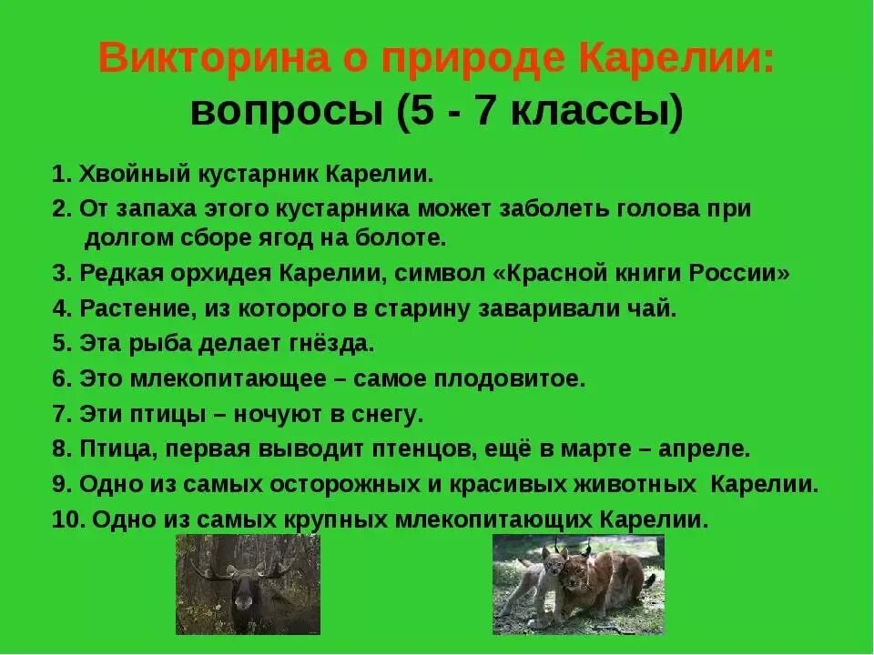 Опорныйкрай рф сайт викторины какие вопросы. Вопросы о природе для детей. Вопросы для викторины про животных. Вопросы про природу. Вопросы про природу с ответами для викторины.