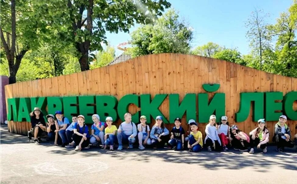 Лето в парке название мероприятий. Проект лето в парке. Проект лето в парке. Проект лето в парке. Люди в парке.