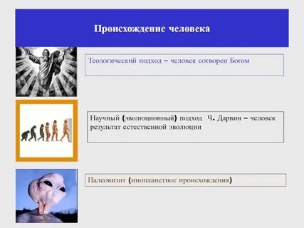 Социальные теории происхождения человека