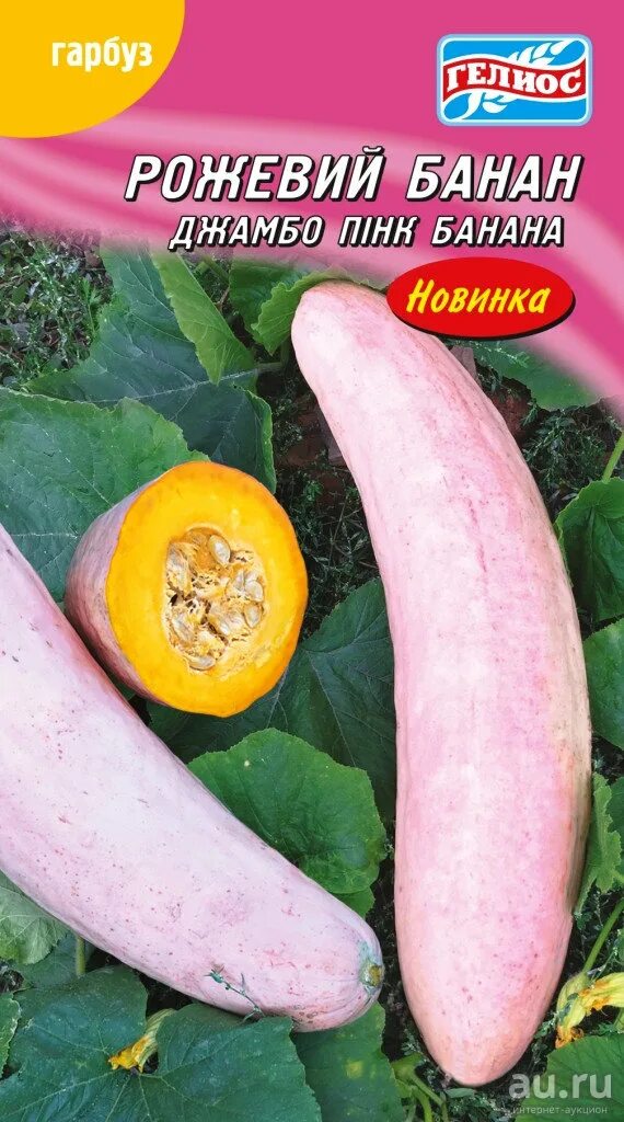 Тыква розовый банан описание. Тыква пинк джамбо банана. гавриш тыква розовый банан. тыква розовый банан сиб сад. тыква розовый банан семена.