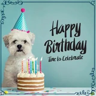 100+ Dog Birthday Pictures Wallpapers.com