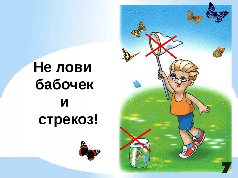 Картинка лови. Не лови бабочек. Не ловите бабочек. Не лови бабочек стрекоз. Нельзя ловить бабочек.