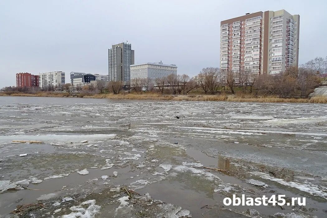 Тобол город сейчас. Река Тобол Курган. Курган уровень реки Тобол. Уровень воды в Тоболе сегодня в Кургане на 8. Уровень воды в реке Тобол у Звериноголовского на сегодня.