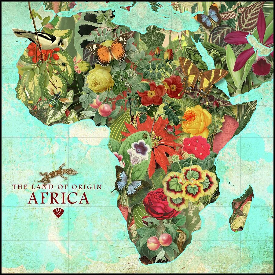 I love africa. Фон для презентации африка. I know africa. Шаблон для презентации африка. I love africa.