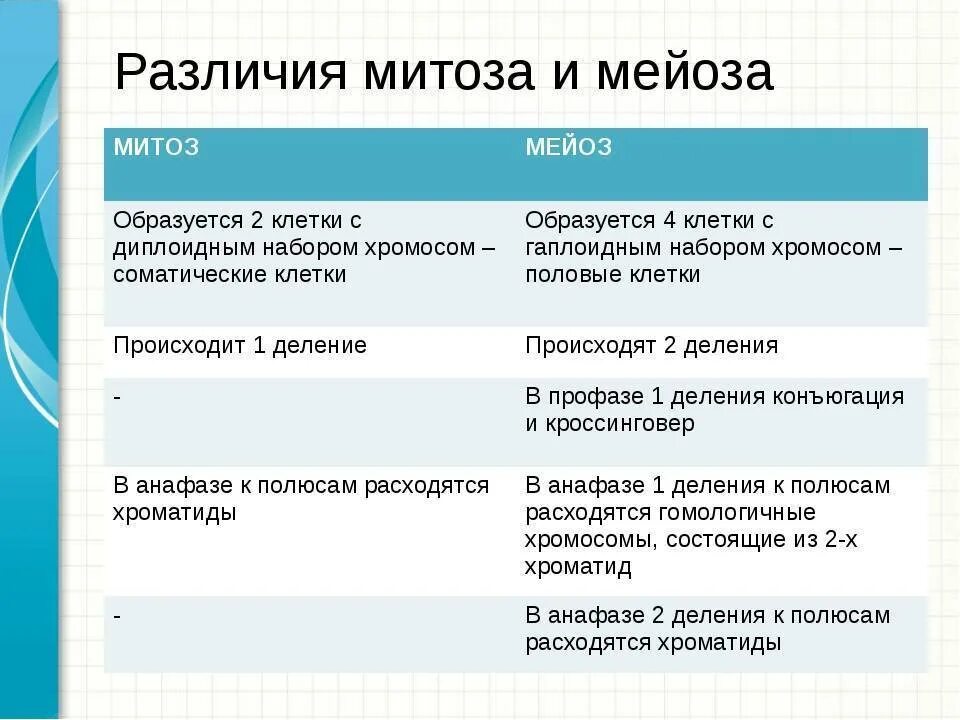 Основные отличия мейоза от митоза 9 класс. Различия митоза и мейоза. Основные отличия мейоза от митоза. Отличие меоза от мейозп. Отличие митоза от мейоза.