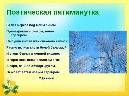 Предложение белою