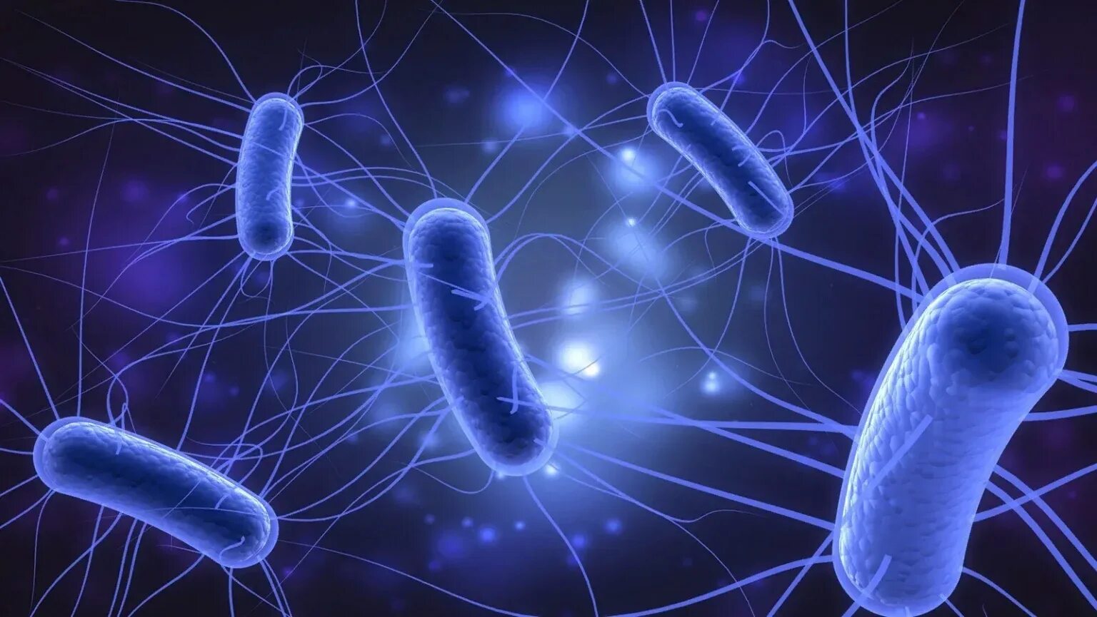 Микроорганизмы кишечная палочка. Бактерия Escherichia coli. Бактерия эшерихия коли. Кишечная палочка Escherichia coli. Колиэнтерит эшерихиоз.