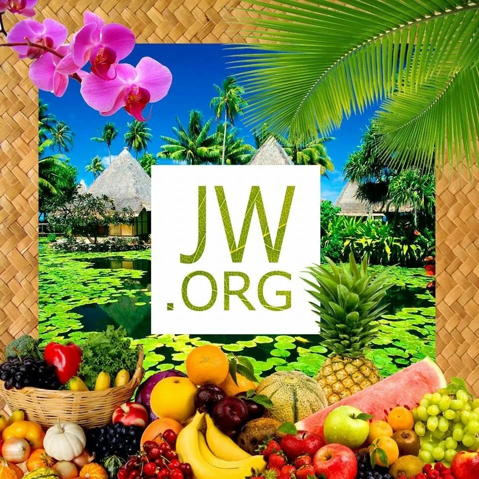 Https jw org. JW org. Публикация JW org. Логотип JW.org. JW org Wallpaper.