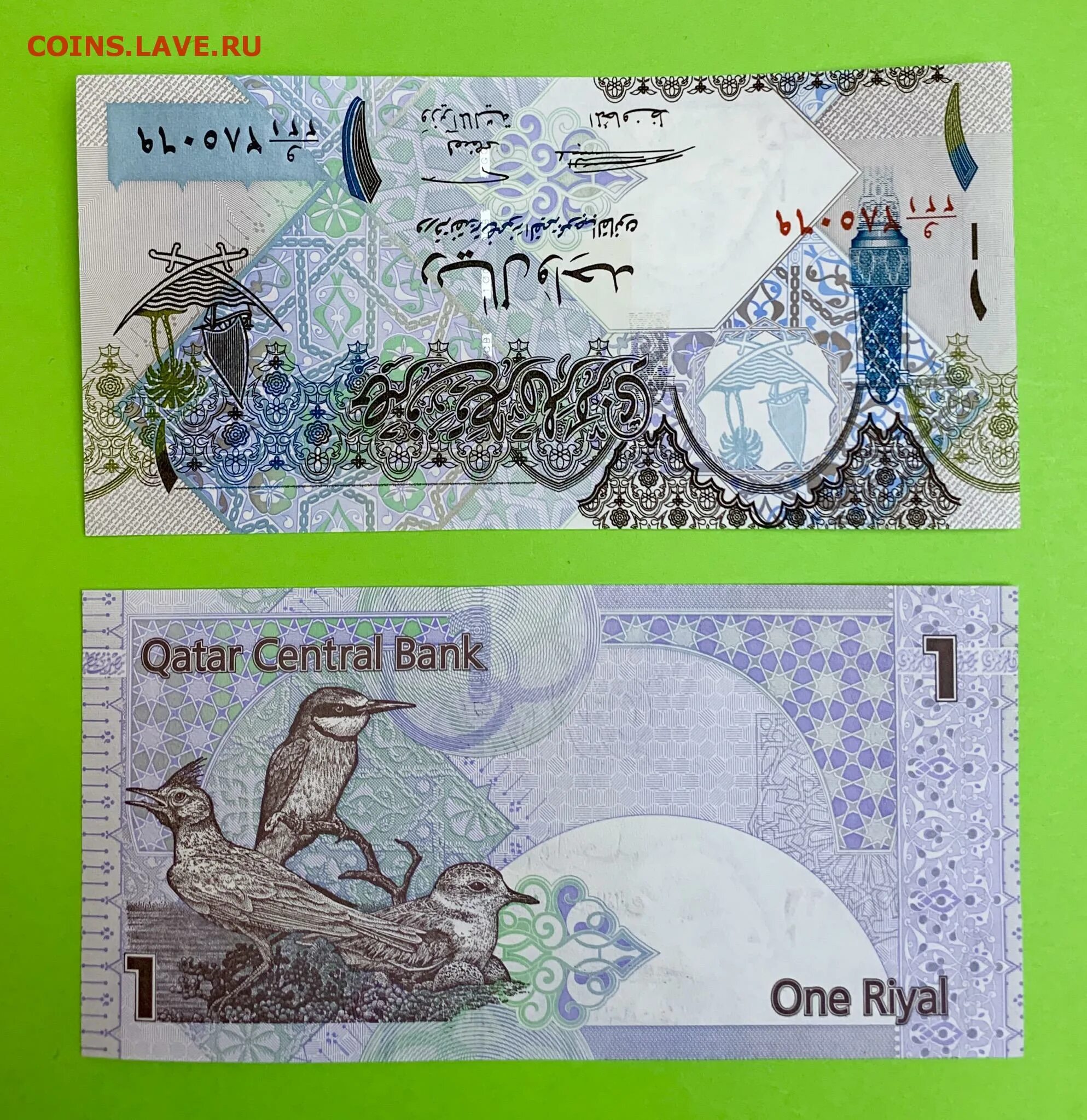 Катарский риал к рублю. 1 Riyal в рублях. Курс катарского риала к рублю. Qatar Central Bank one riyal.