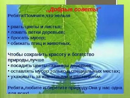 Охрана окружающей среды представляет собой деятельность