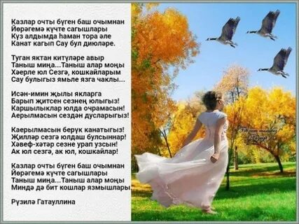 Киек казлар очты курдегезме минусовка
