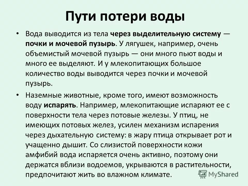 объемистый