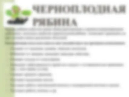 Черноплодная рябина рецепты приготовления от давления