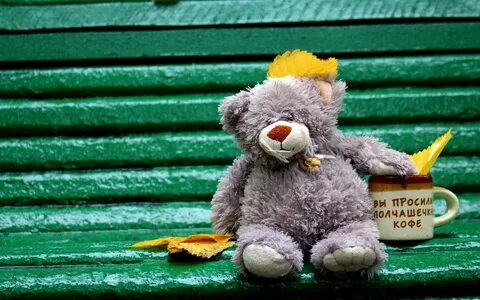 Доброе утро картинки с медведем