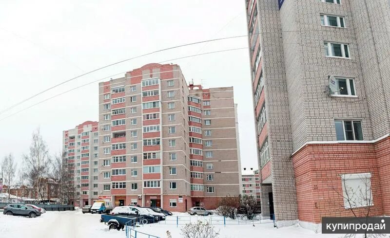 Рынок на северной 5 вологда. Вологда вологодская 5. Вологда вологодская 5. Мишкольцкая 11 б вологда. Вологда вологодская 5.