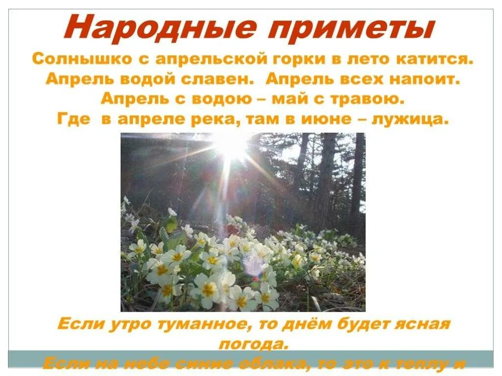 Народные приметы погоды на май 2024 года. Народные приметы. Приметы о природе. Народные приметы о весне. Народные приметы о погоде 2 класс.