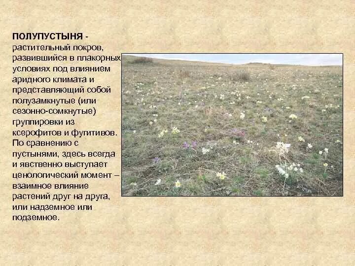 Географическое положение полупустынных почв