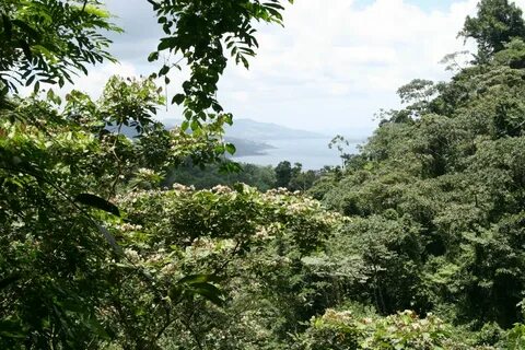 Costa rica les