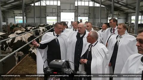 Лукашенко на ферме