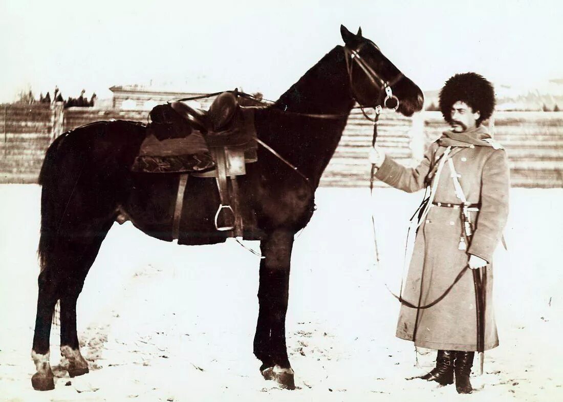 Год лошади 20 век. Упряжки в россии 19аека. Скаковые лошади 19 век. Жеребец бруклин сьюприм. Год лошади 20 век.