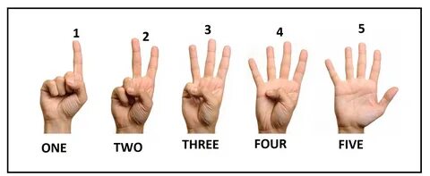 Система 5 пальцев