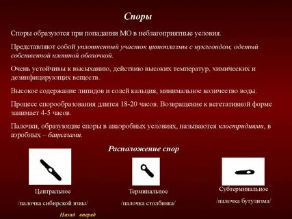Назовите неблагоприятные условия