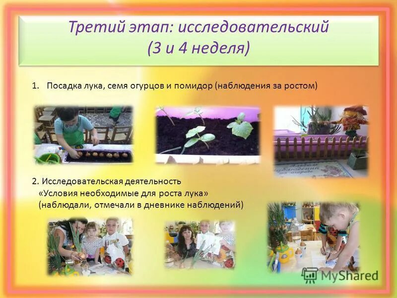 исследовательская деятельность в доу. исследовательские проекты в саду. исследовательская работа в детском саду этапы. исследовательские проекты в саду. исследовательские проекты в саду.