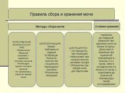 Сколько времени хранить мочу для анализа