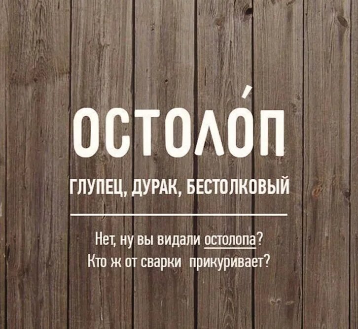 Бестолковый синоним. Остолоп. Остолоп это значение слова. Редкие слова. Редкие бранные слова русского языка.