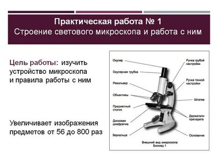 Микроскоп 5 класс биология строение и функции