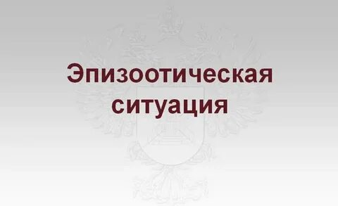 Эпизоотическая ситуация