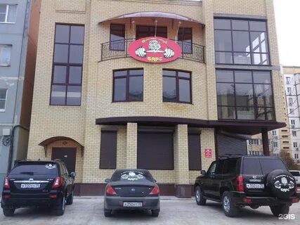 Барс электросталь