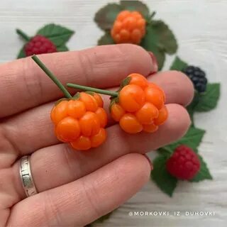 Морошка ежевика