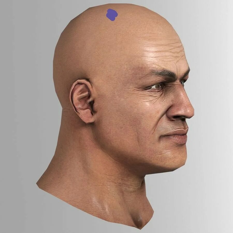 Голова человека фотки