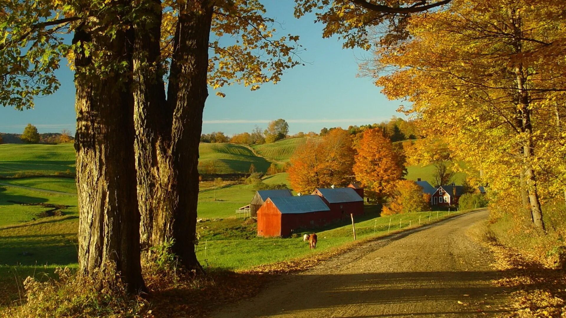 Осень в деревне. Деревня осенью. Золотая осень в деревне. Осень природа деревня. Картинка на рабочий стол деревня